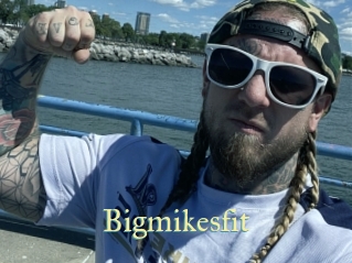 Bigmikesfit