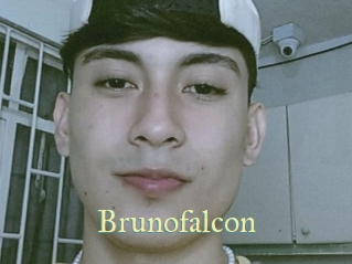 Brunofalcon