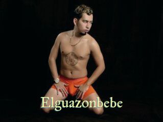 Elguazonbebe