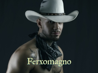 Ferxomagno