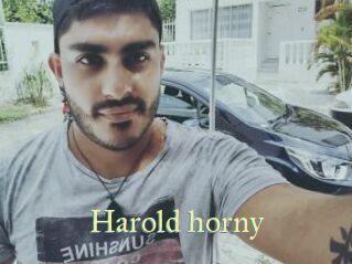 Harold_horny