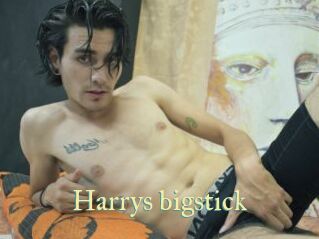 Harrys_bigstick