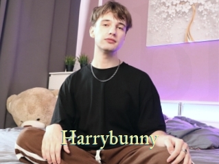 Harrybunny