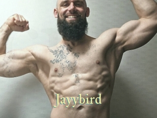 Jayybird