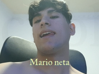 Mario_neta