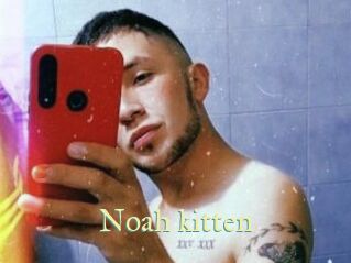 Noah_kitten