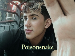 Poisonsnake