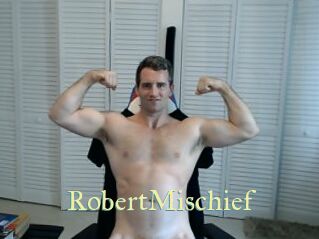 RobertMischief