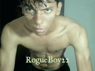 RogueBoy22