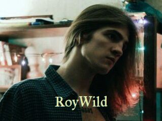 RoyWild