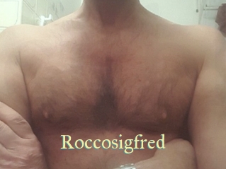 Roccosigfred