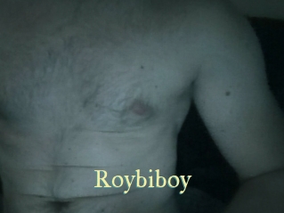 Roybiboy