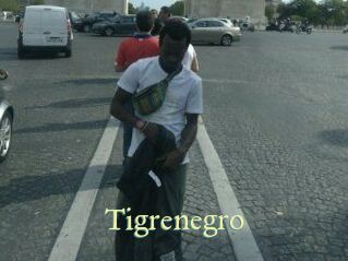 Tigrenegro