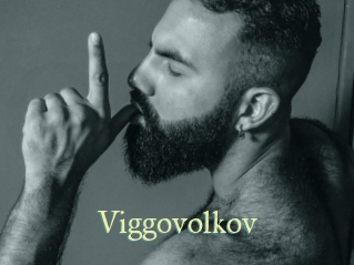 Viggovolkov